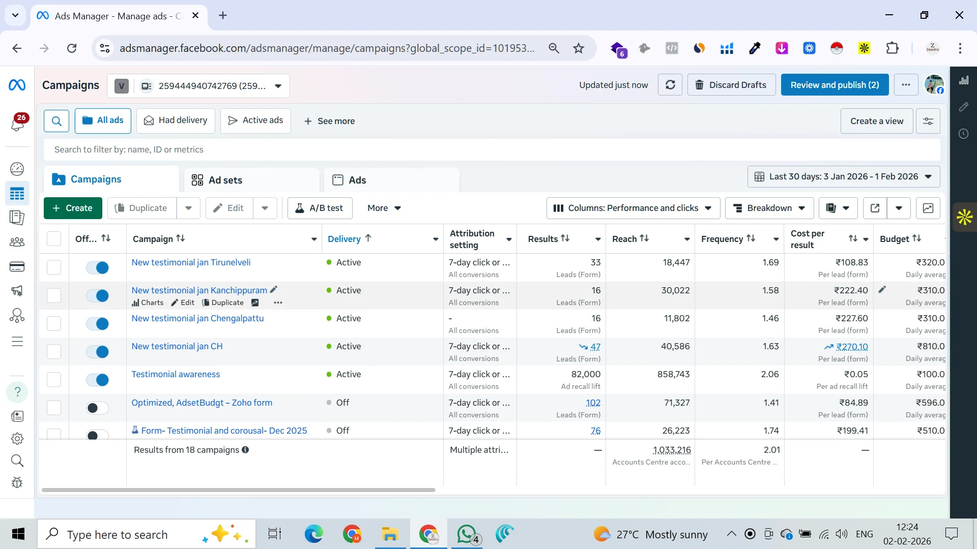 Vigor Solar Ads Manager Screenshot — January Campaign